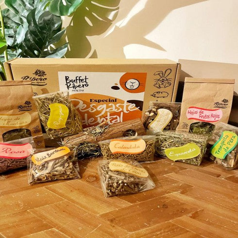 BUFFET DESGASTE DENTAL