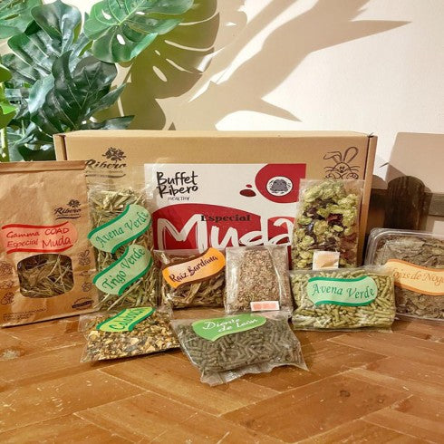BUFFET HEALTHY MUDA RIBERO