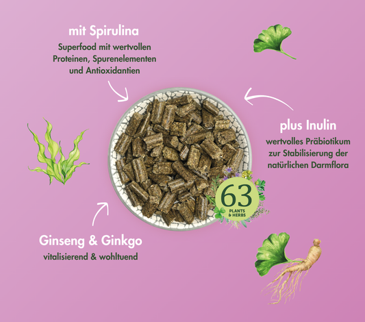 SUEÑO CONEJO SENIOR