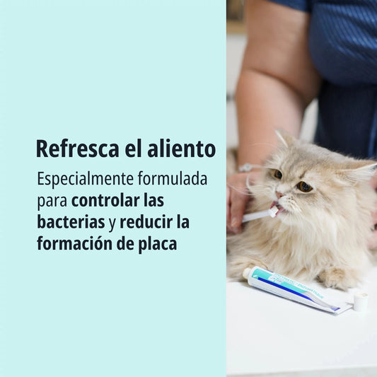 KIT DENTÍFRICO ENZIMÁTICO CON CEPILLO