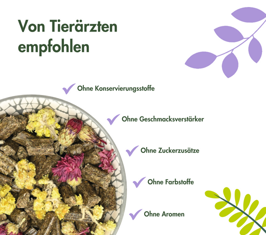 SUEÑO CONEJO HARMONY