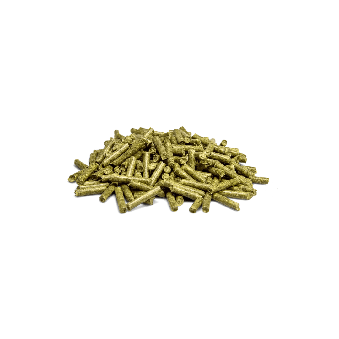 BUNNY GOVET HEPAPLEX