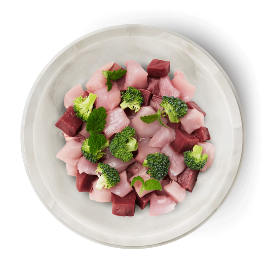 KITTEN BUEY Y CONEJO