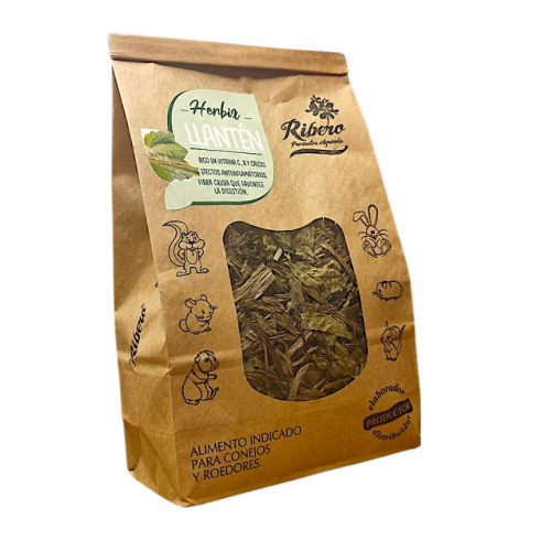 RIBERO HERBIX LLANTEN