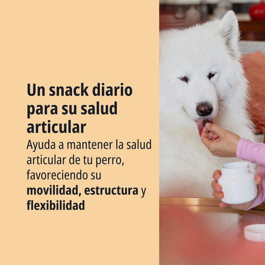 MOVOFLEX SNACK PERRO