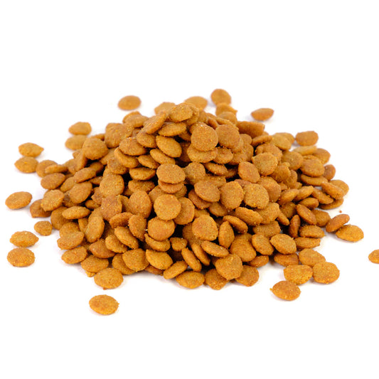 GATO ESTERILIZADO POLLO