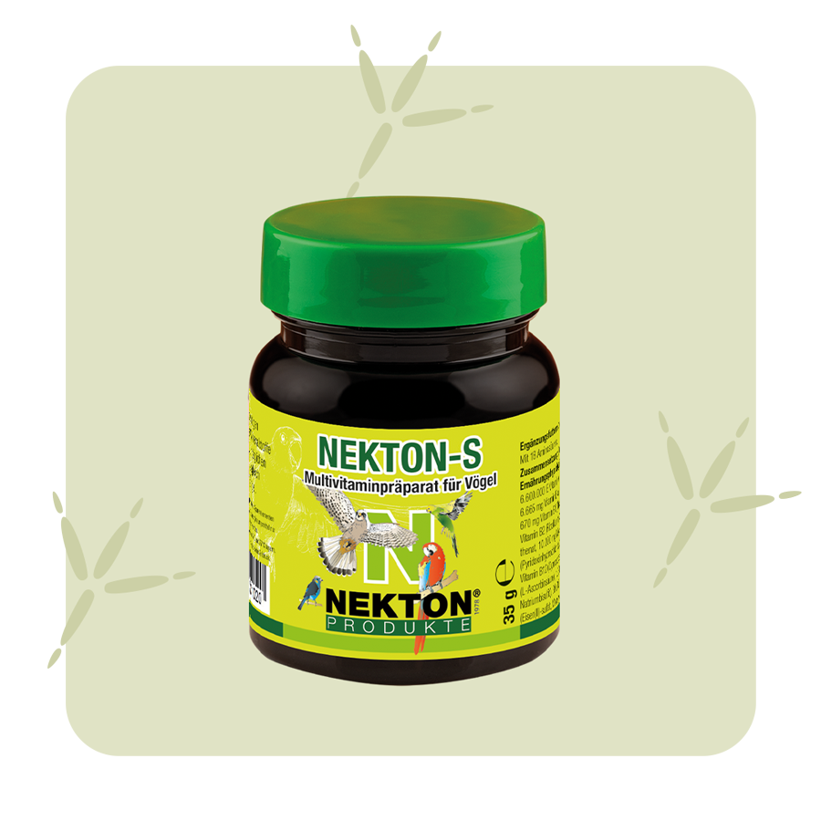 NEKTON S