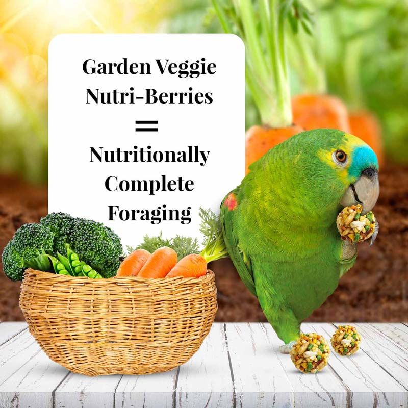 NUTRIBERRIES JARDÍN DE VEGETALES LORO