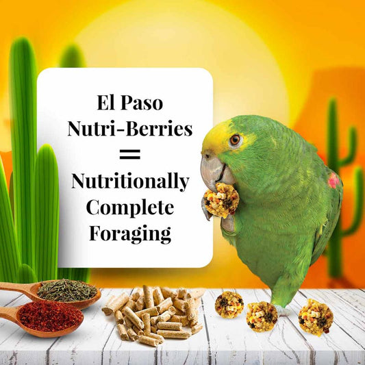 NUTRIBERRIES EL PASO LORO