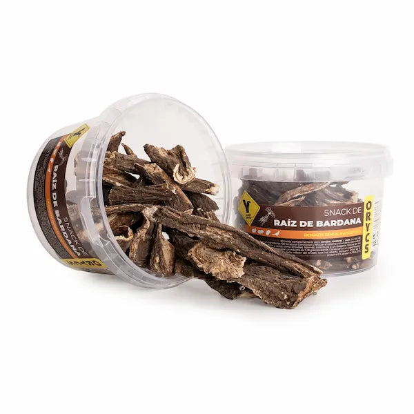RAÍZ DE BARDANA