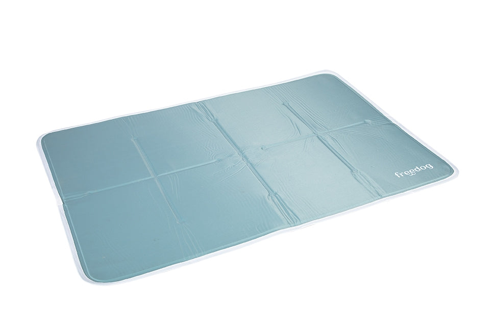 CAMA COOL PREMIUM SILVER