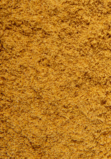 PSITTACUS PAPILLA MINI