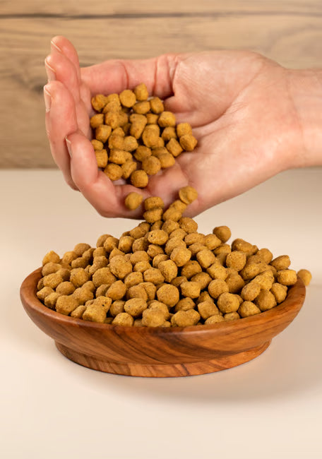 PSITTACUS ALTA PROTEÍNA