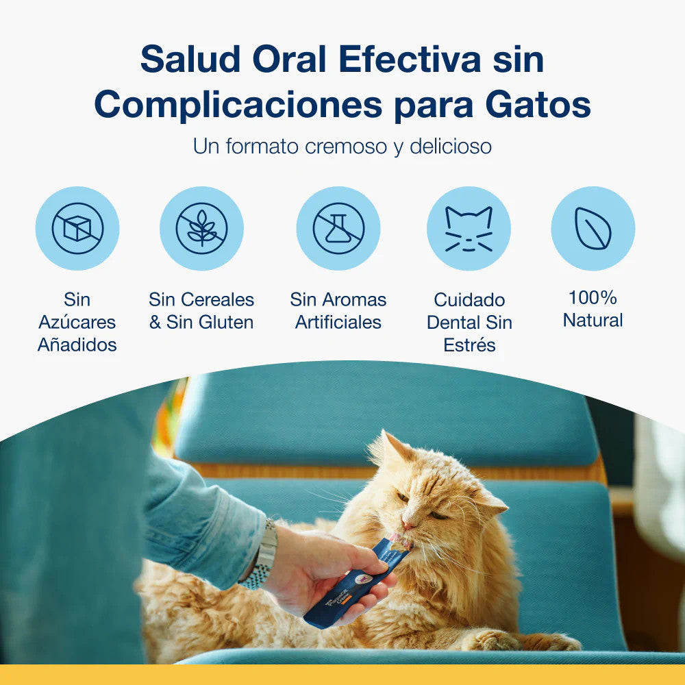 PRODEN PLAQUEOFF CREMA PARA GATOS