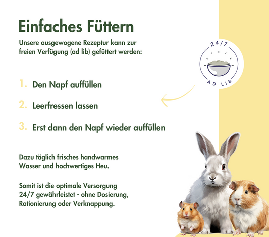 SUEÑO BÁSICO COBAYA