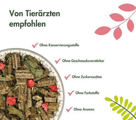 SUEÑO CONEJO FRESA Y MENTA