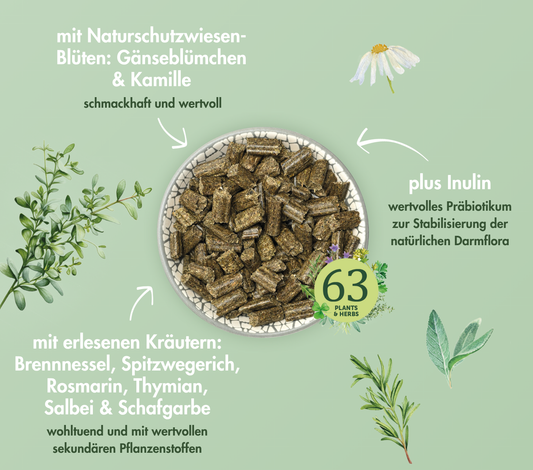 SUEÑO HIERBAS PARA CONEJO