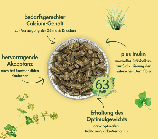 SUEÑO RAZA GRANDE CONEJO