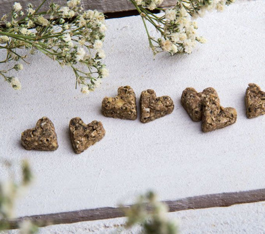 CRUNCHY CRACKER DE DIENTE DE LEÓN