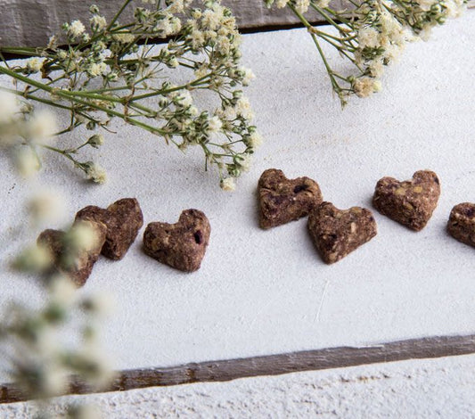 CRUNCHY CRACKER DE FRUTOS ROJOS