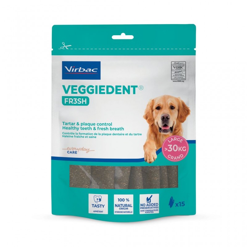 VEGGIEDENT FRESH