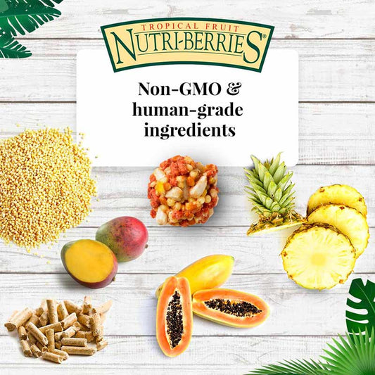 NUTRIBERRIES  FRUTAS TROPICALES LORO