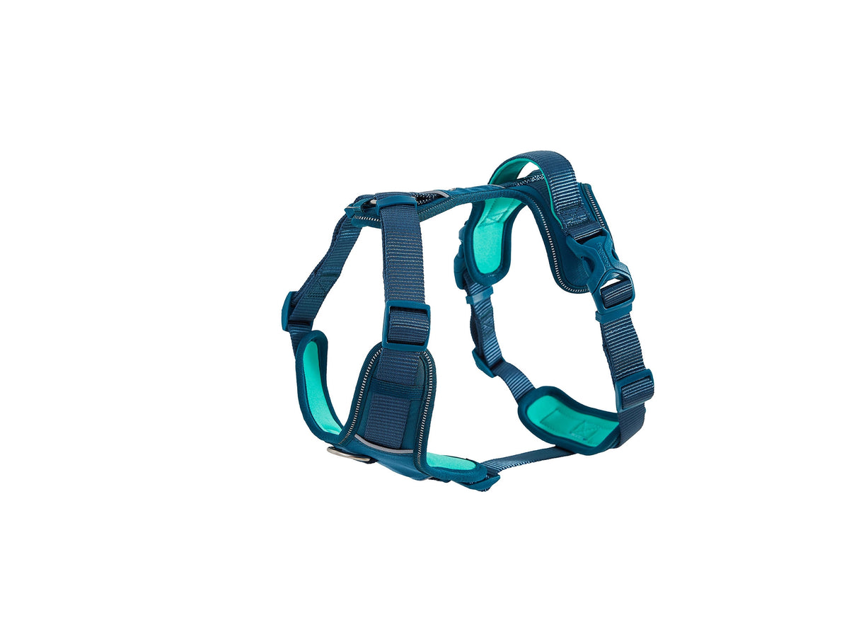 ARNES LIMITLESS