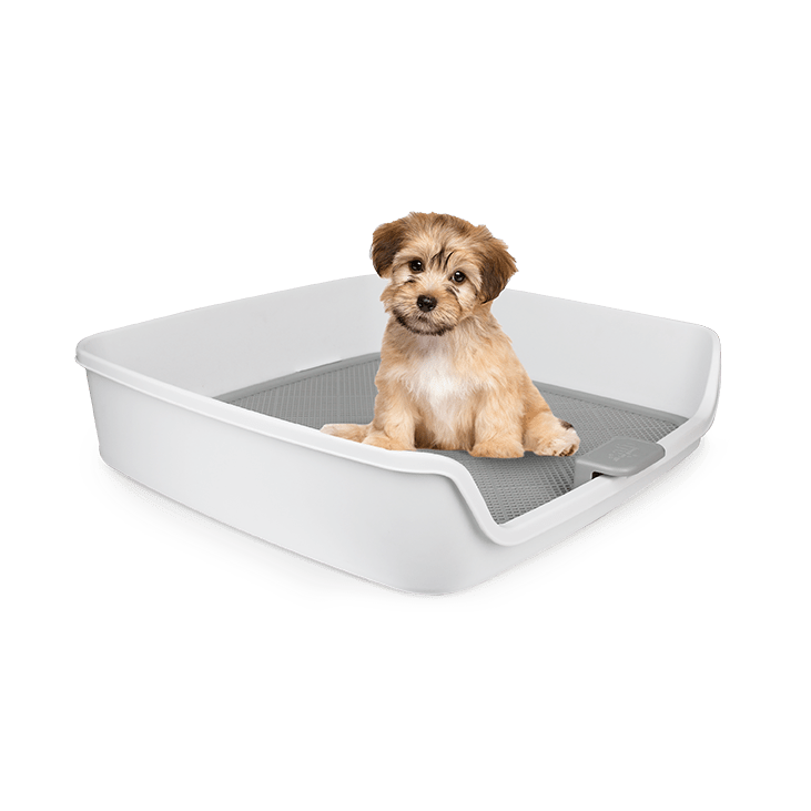 BAÑO CON REJILLA HIGIÉNICA GO FRESH