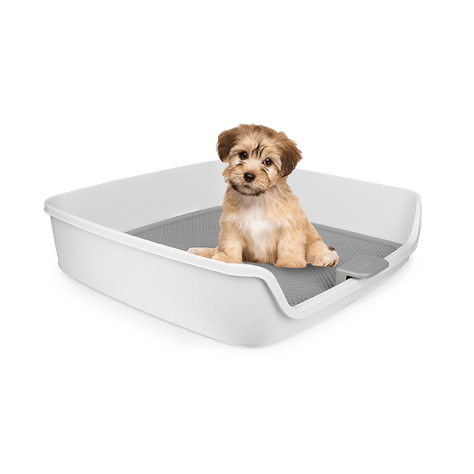 BAÑO CON REJILLA HIGIÉNICA GO FRESH