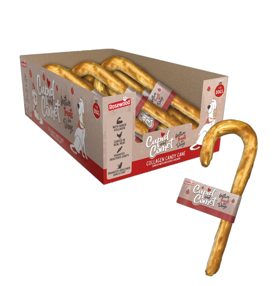 BASTÓN DE COLÁGENO CON POLLO