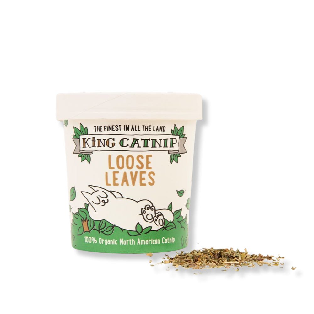 MACETA DE HIERBA GATERA 35 GRAMOS