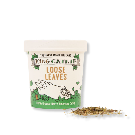 MACETA DE HIERBA GATERA 35 GRAMOS