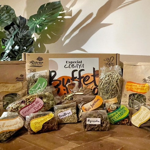 BUFFET PARA COBAYA RIBERO
