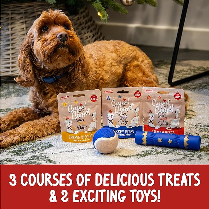 CALCETÍN NAVIDEÑO PARA PERRETES