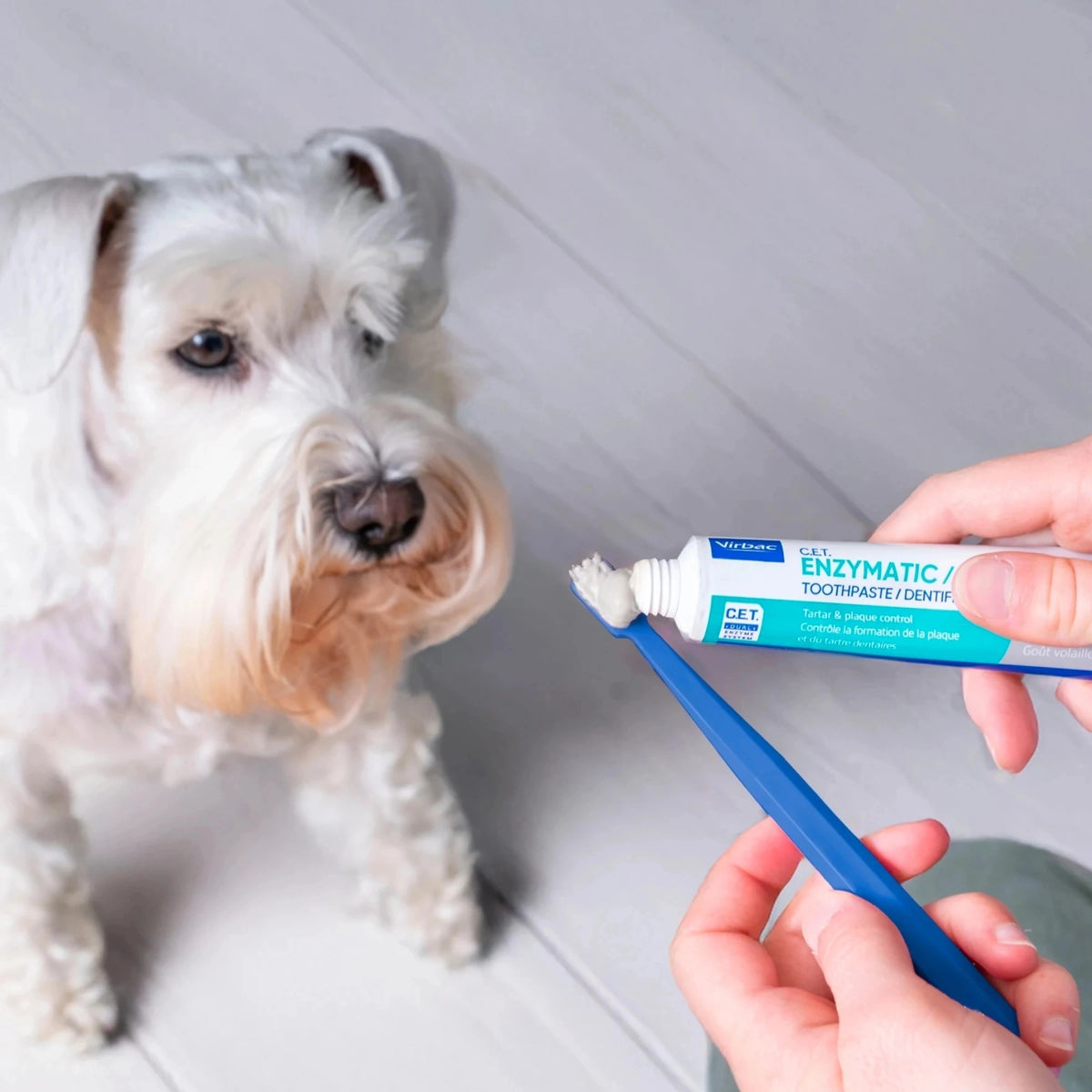 KIT DENTÍFRICO ENZIMÁTICO CON CEPILLO