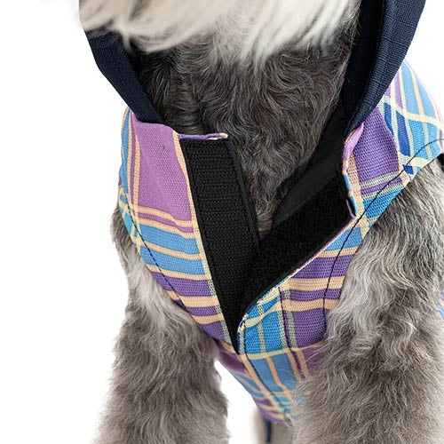 CHUBASQUERO TRENT LAVANDA