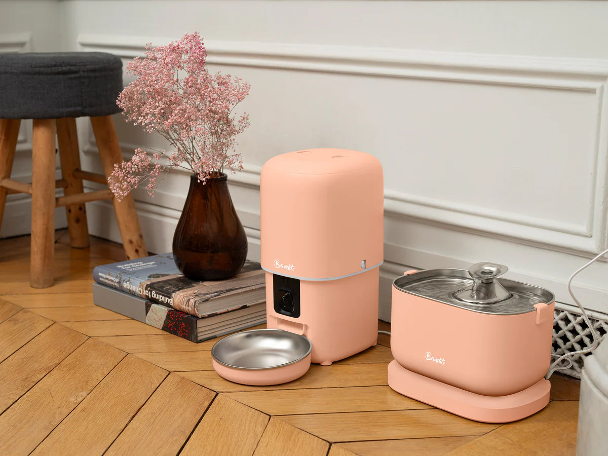 COMEDERO INTELIGENTE