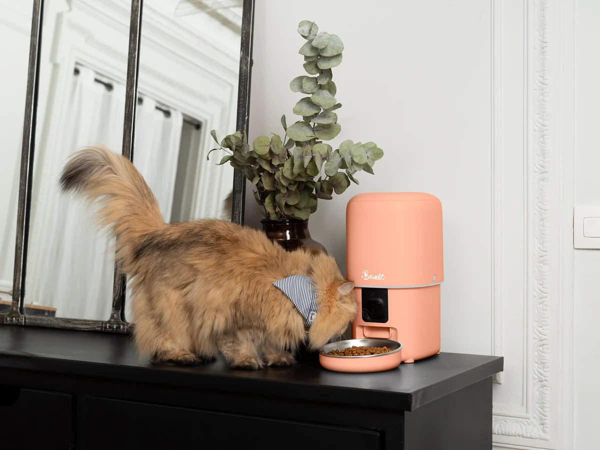 COMEDERO INTELIGENTE