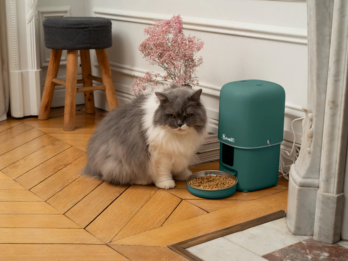 COMEDERO INTELIGENTE