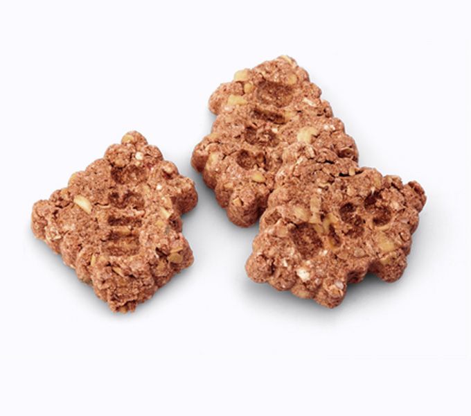 CRUNCHY CRACKER DE ZANAHORIA