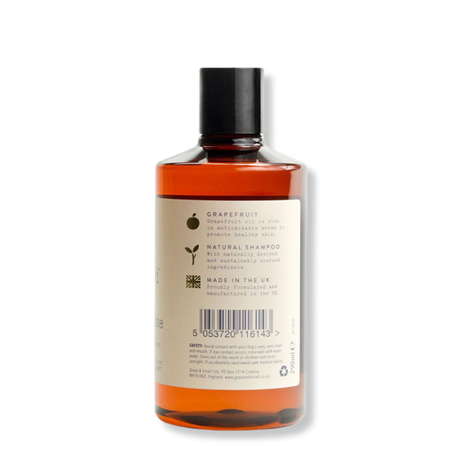 CHAMPÚ DE LIMPIEZA PROFUNDA 290 ML