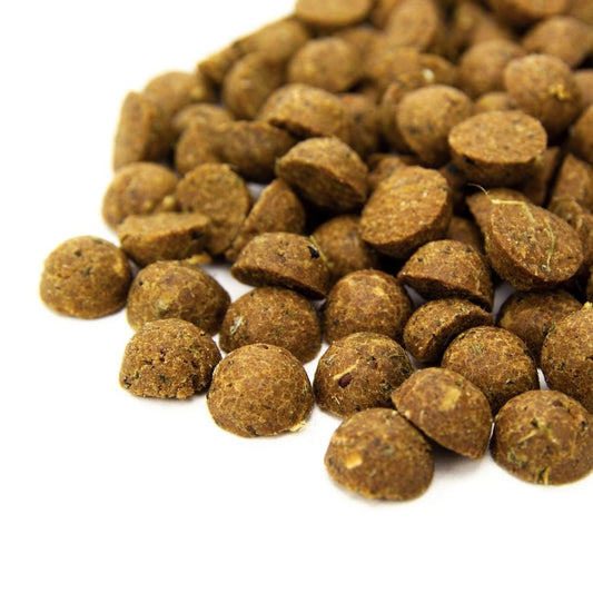 FEASTIES DE SALMÓN CON HIERBA GATERA 70 GRAMOS