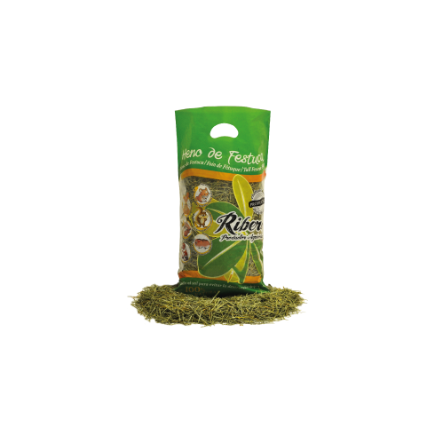 HENO DE FESTUCA