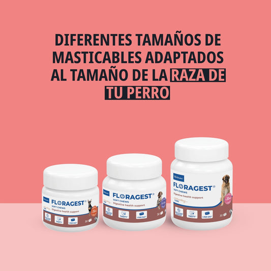 FLORAGEST SNACK PERRO