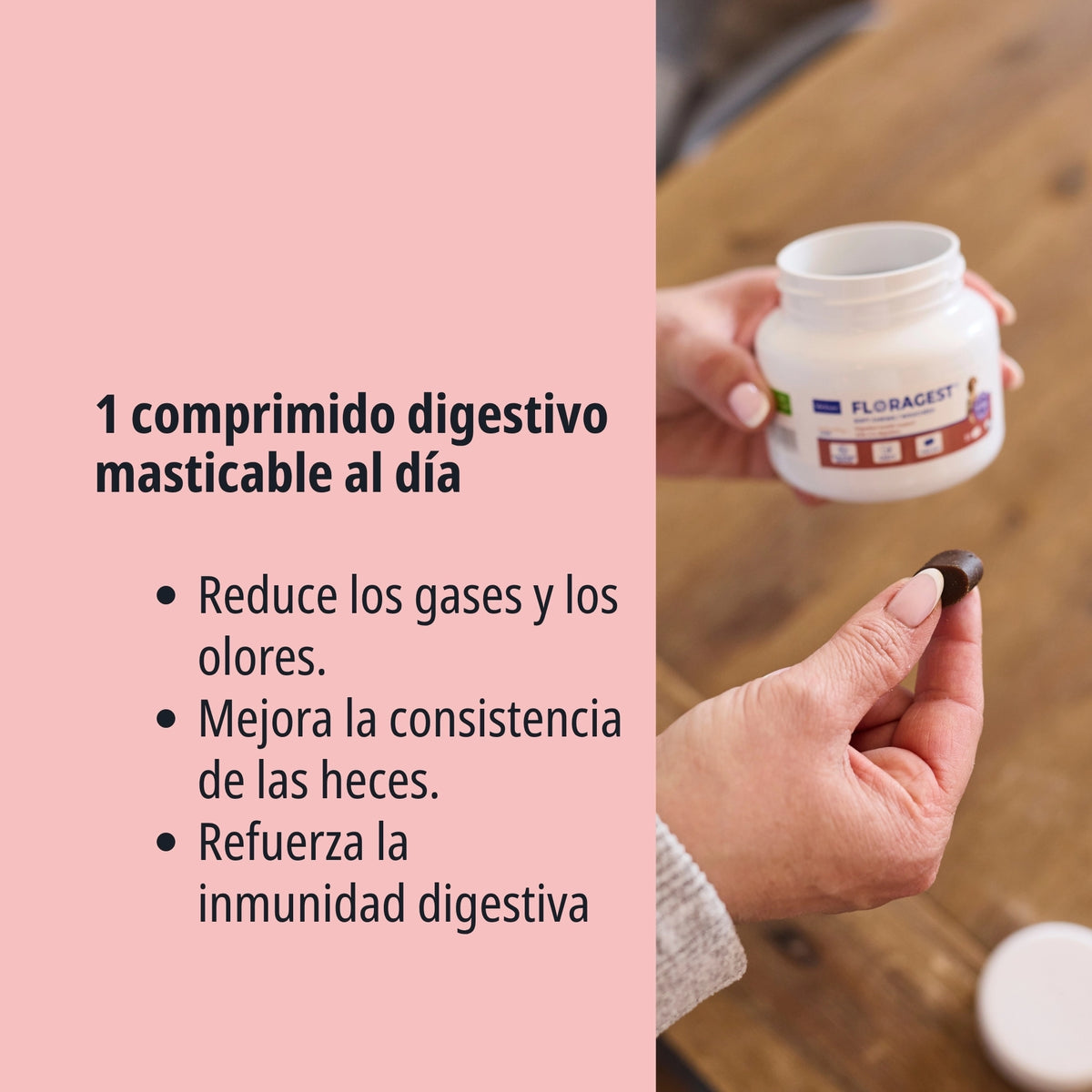 FLORAGEST SNACK PERRO