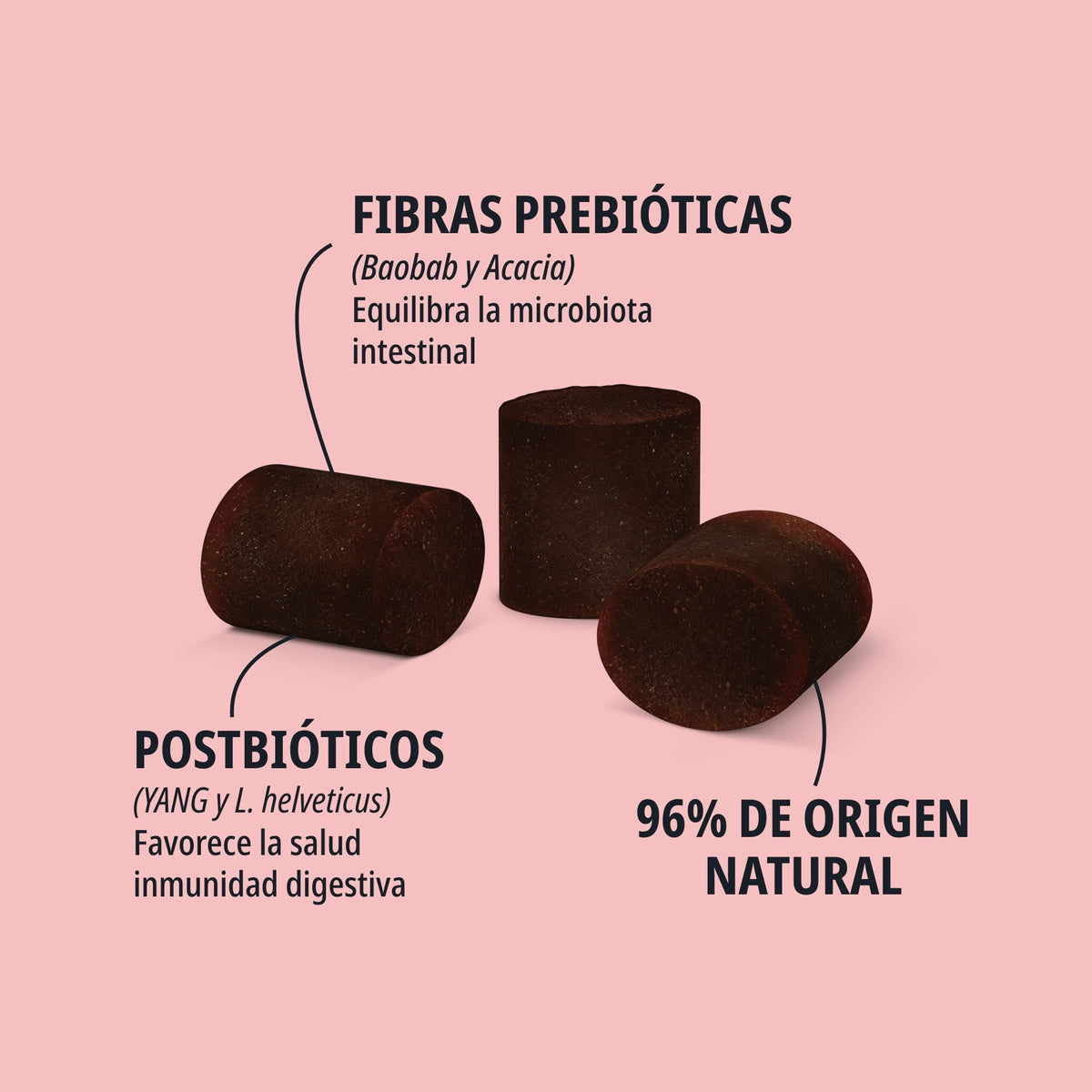 FLORAGEST SNACK PERRO