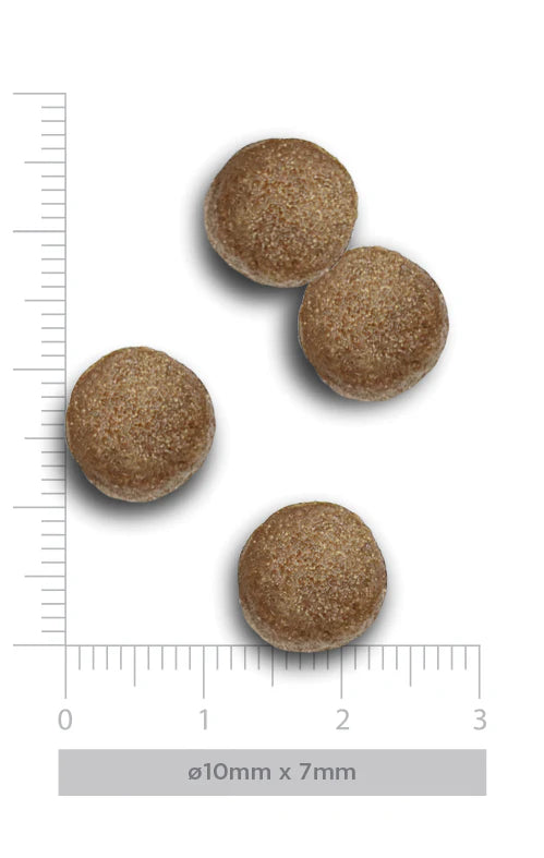 FLAVOURS OF THE FARM PUPPY