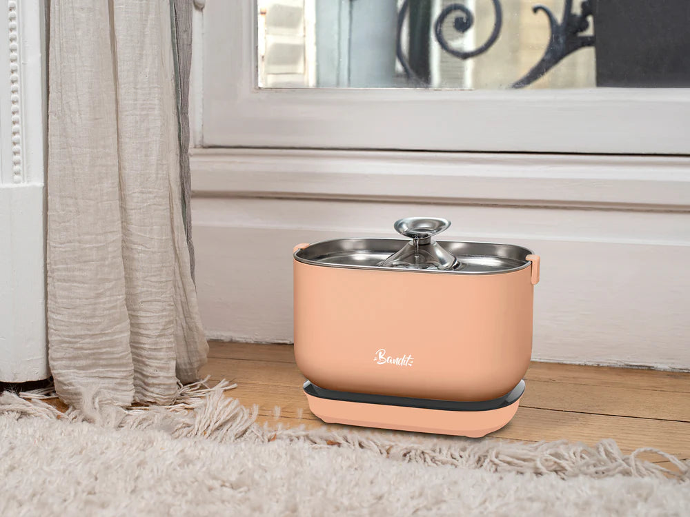 FUENTE INALÁMBRICA DE ACERO INOXIDABLE