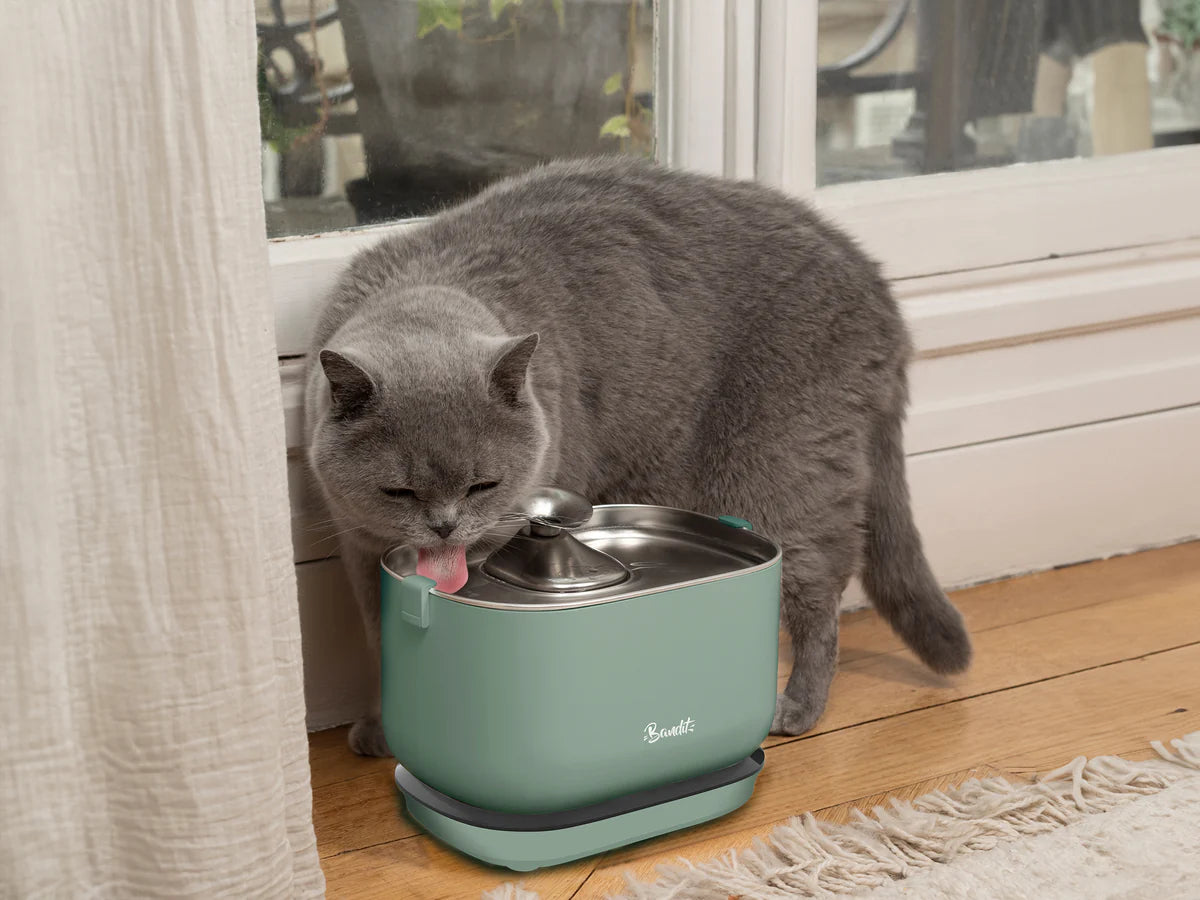 FUENTE INALÁMBRICA DE ACERO INOXIDABLE