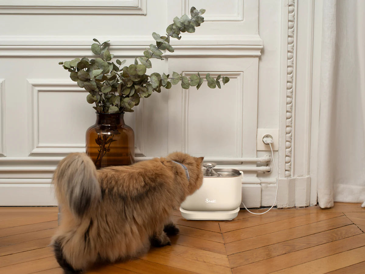 FUENTE POR CABLE DE ACERO INOXIDABLE